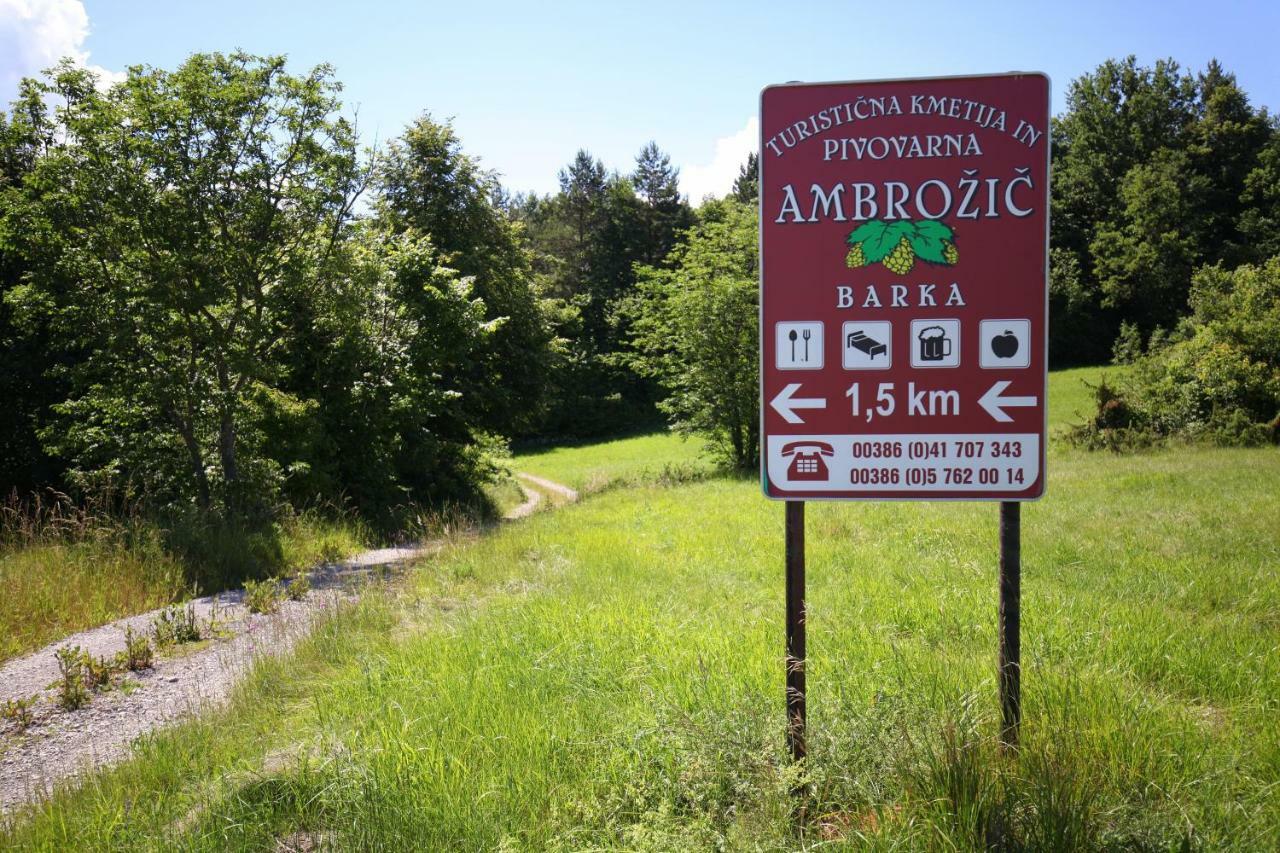 Rooms And Apartment Ambrozic Vremski Britof Esterno foto
