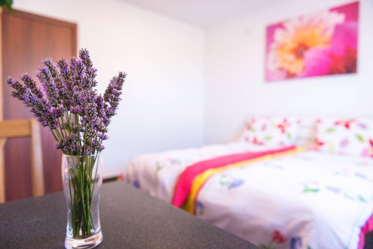 Rooms And Apartment Ambrozic Vremski Britof Esterno foto